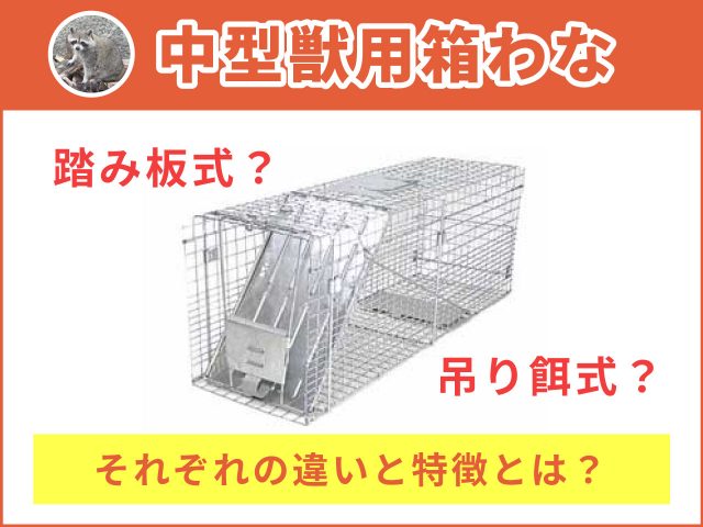 中型獣用箱わな「踏み板式」「吊り餌式」の違いとは？