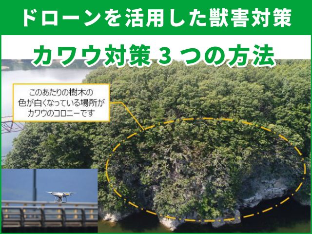 カワウの被害対策にドローンを活用