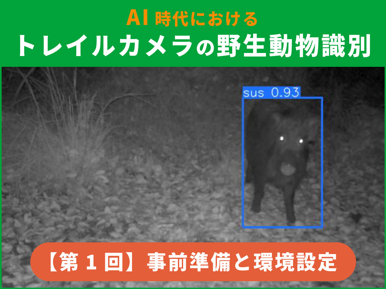 AIによるトレイルカメラの野生動物識別【第1回】事前準備と環境設定 | 鳥獣害対策の知恵袋