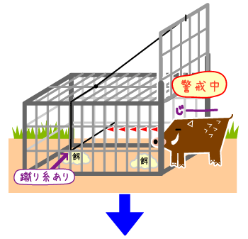 捕獲檻用電動仕掛けアニマルセンサー2はict対象商品です