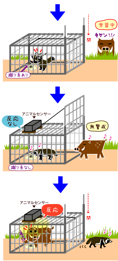 捕獲檻用電動仕掛けアニマルセンサー2はict対象商品です