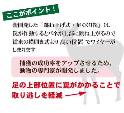 狩猟でくくりわなを使用し猪を確実に捕獲したいなら「足くくり